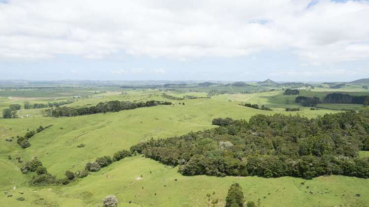 136 Simpkin Road Ruawai_24