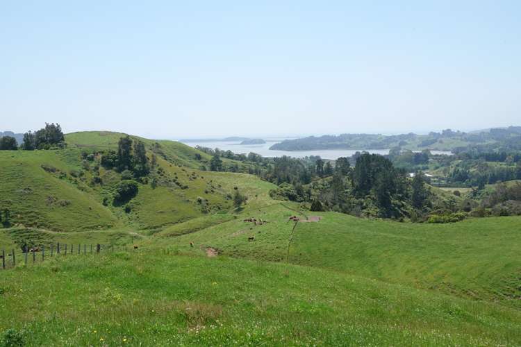 179 and 216 Rankin Road Waiotahe_25