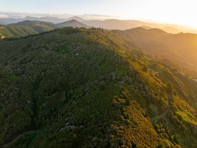 185 Kanuka Rise Wakapuaka_43