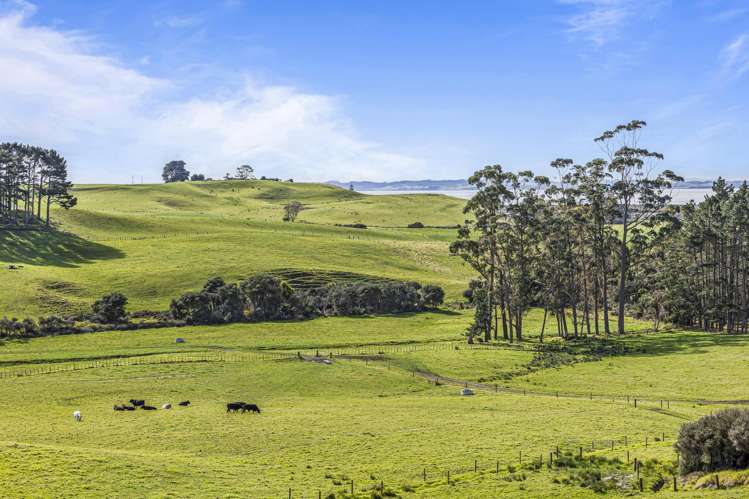 105 Mairetahi Road South Head_30