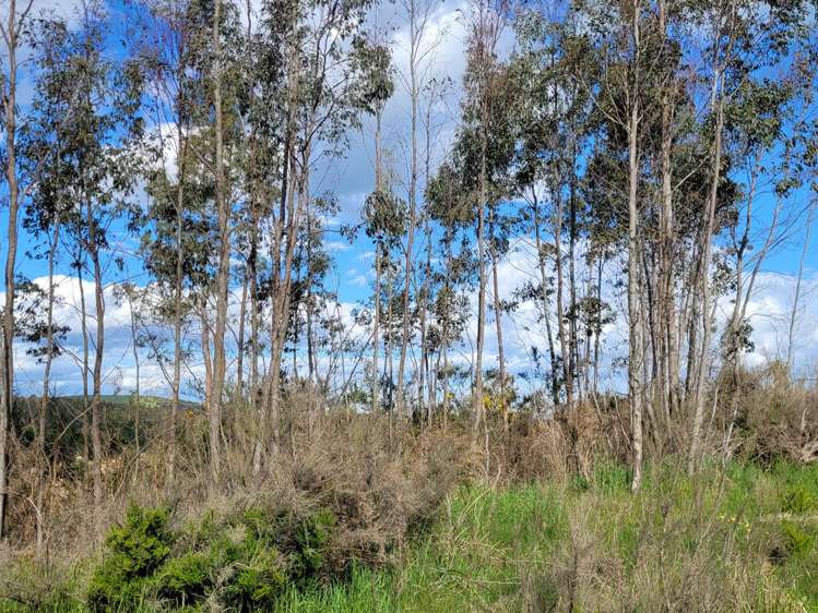 200 Nightcaps Ohai Highway_4