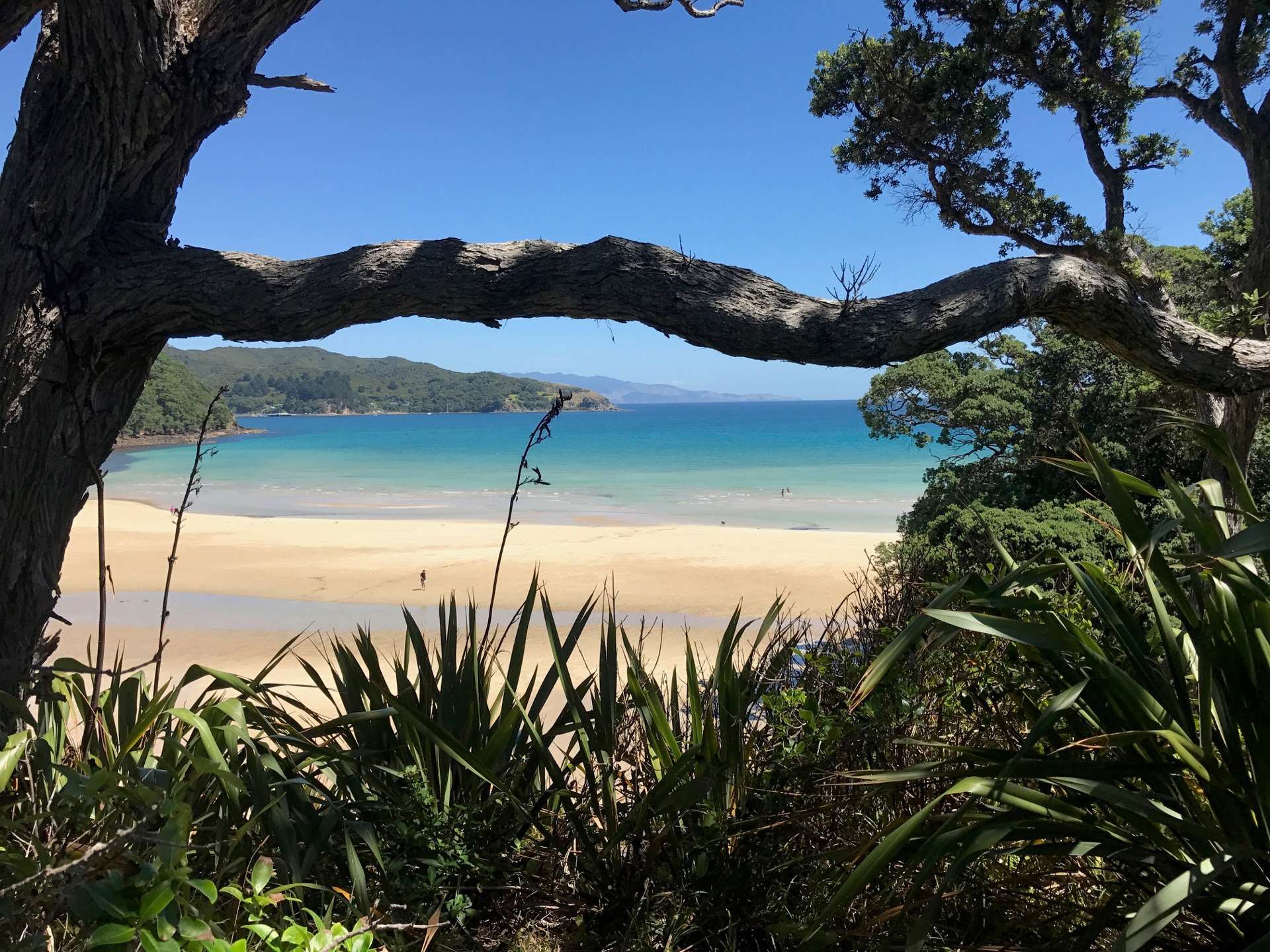 456 Shoal Bay Road Great Barrier Island (Aotea Island)_0