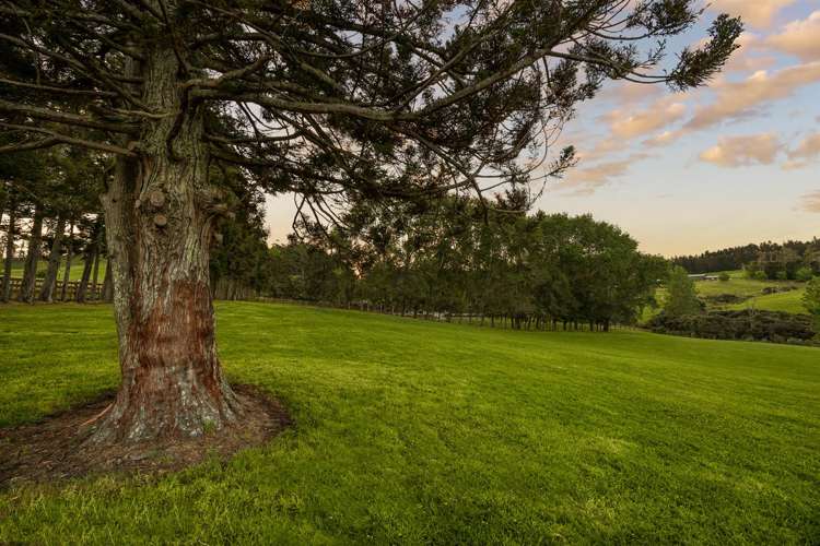 713 Ararimu Valley Road Waimauku_19