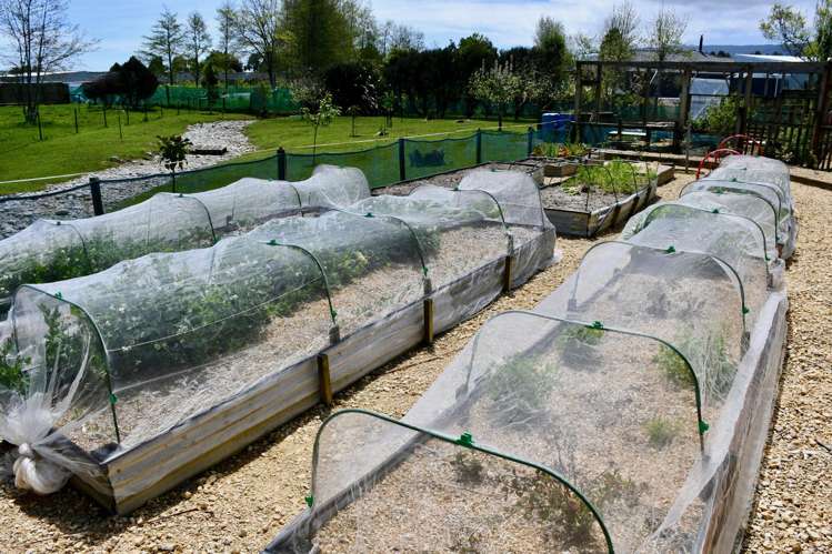 131 Oparara Road Karamea_11