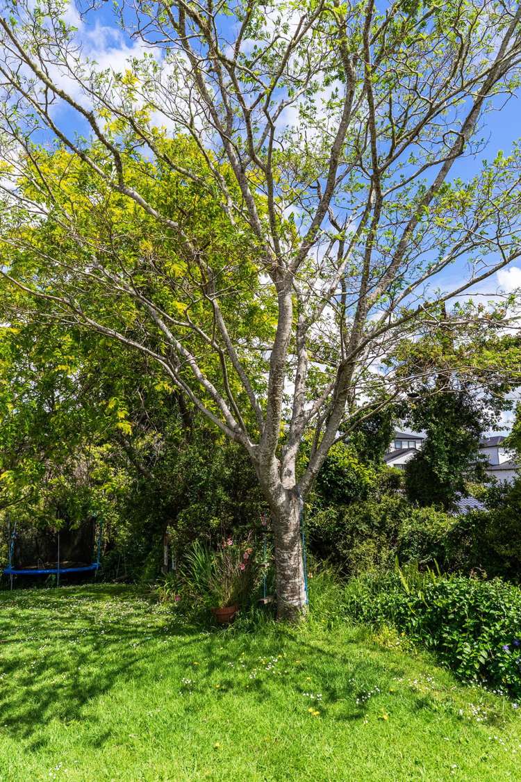 2/45 Howe Street Howick_26