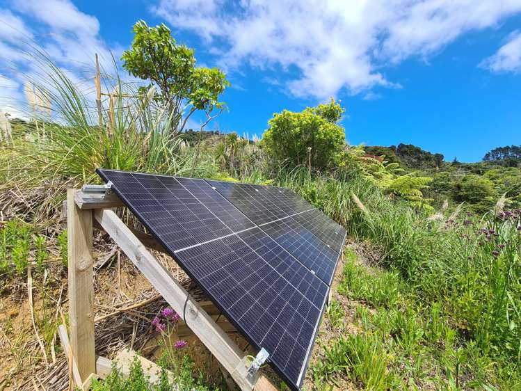 1830 Colville Road Coromandel_21