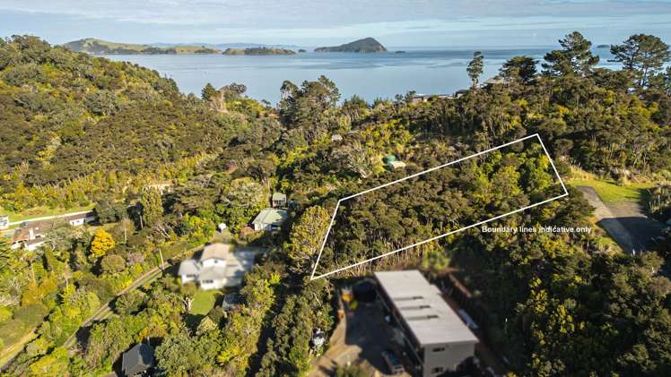624 Wyuna Bay Road Coromandel_15