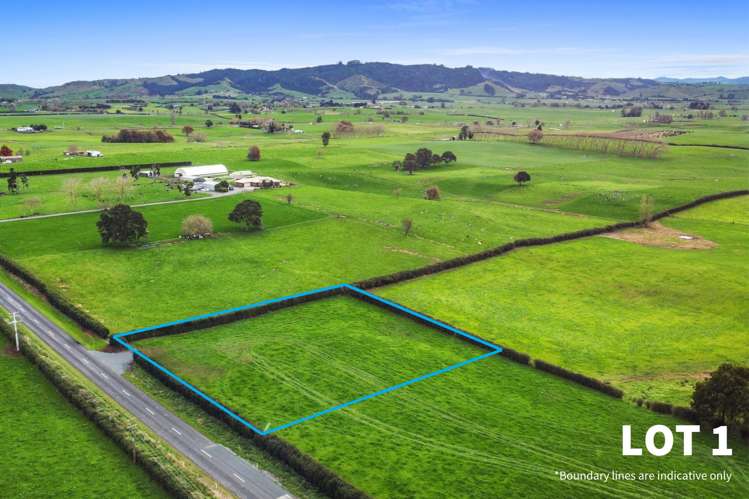 356 Mangateparu Loop Road_0
