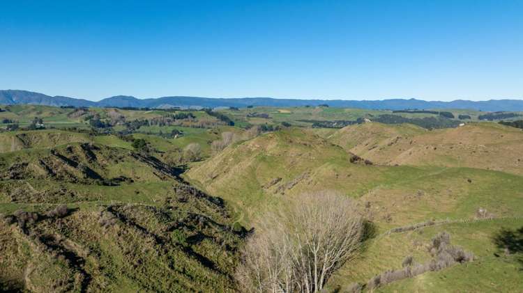 762 Rangiwahia Road Kimbolton_6