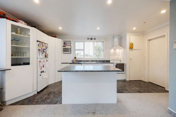 137 Mcnair Road Te Awamutu_4