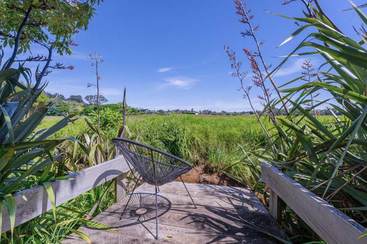 248 Sh25 Kuaotunu_23