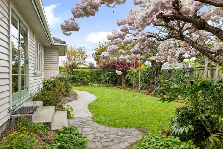 58a Conway Street Somerfield_24