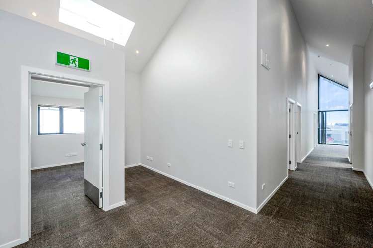 504 Dominion Road Mt Eden_8