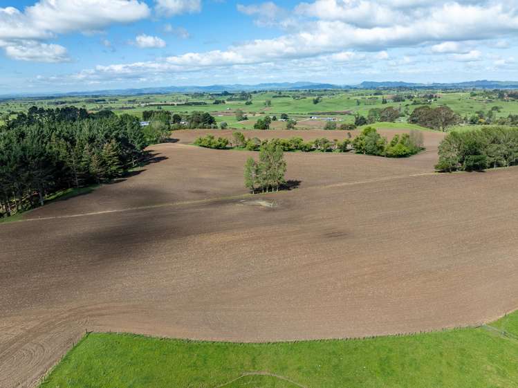 1232B Hetherington Road Huntly_16