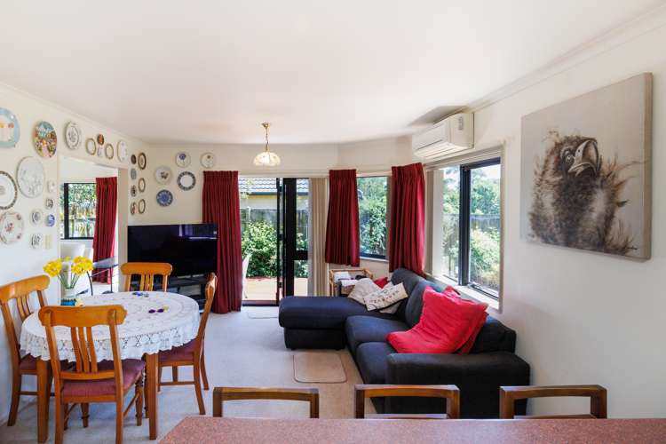 7 Jasmine Place Fitzherbert_8