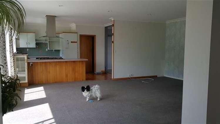 59 Easton Loop Tasman_13