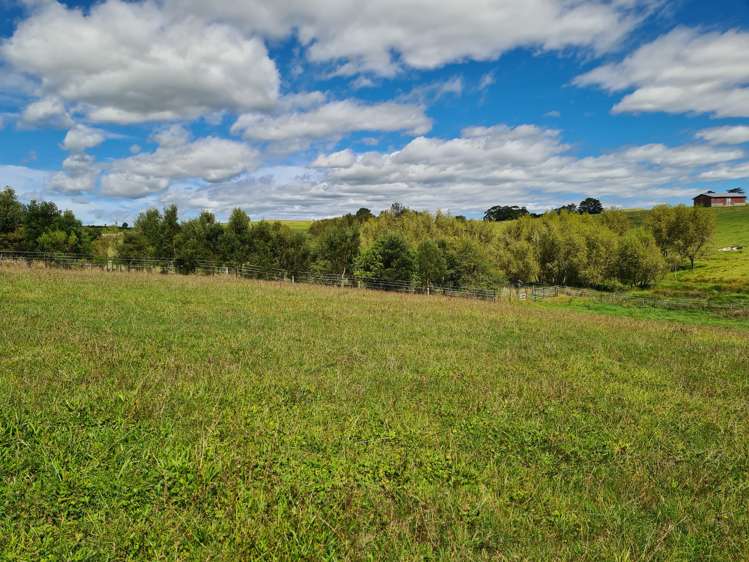 433 Mangapai Road Mangapai and Surrounds_13