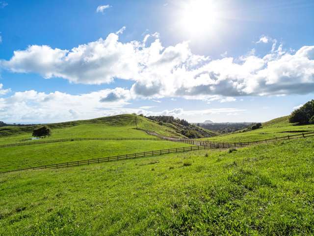 Lot 2,164C Crawford Road Te Puna_1