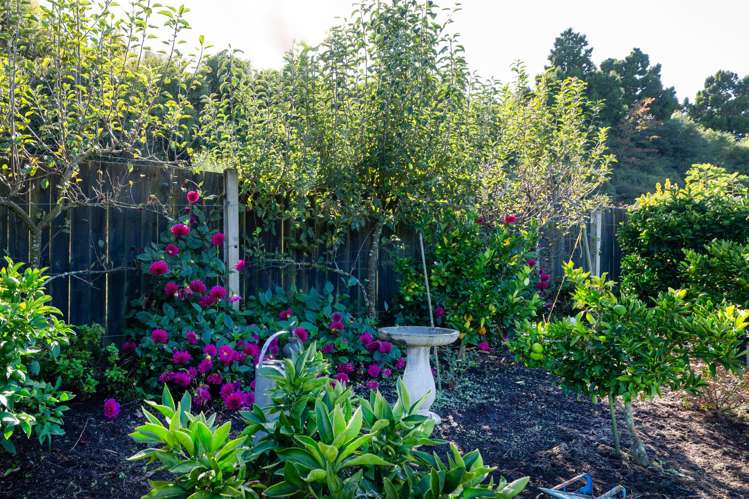 27 Oakland Place Ngongotaha_23