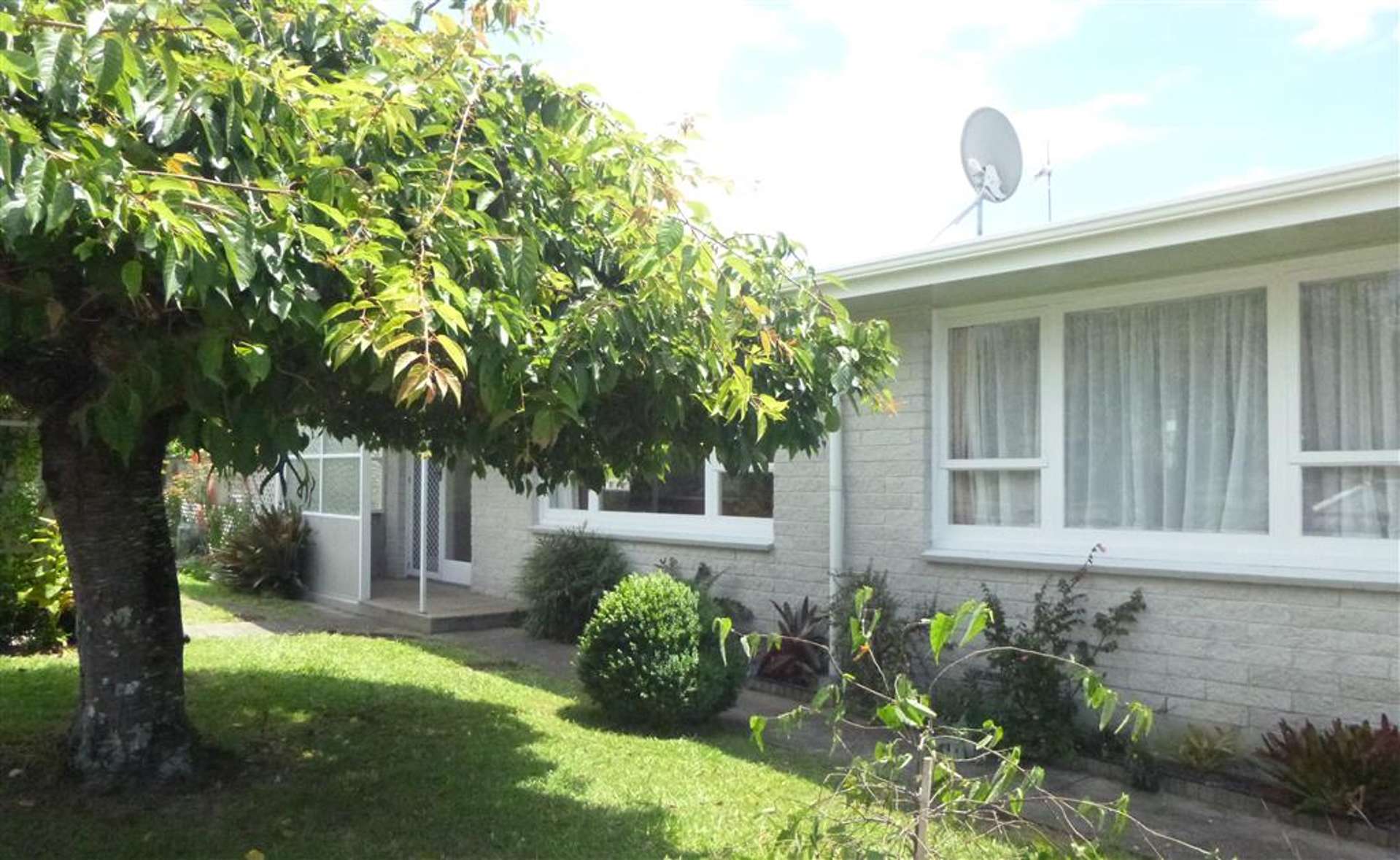 1b Mahoe Street Matua_0