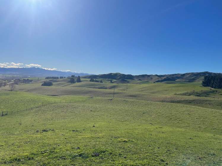 512 Karaka Road Waikari_4