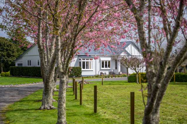 188 Bellevue Road Matangi_2