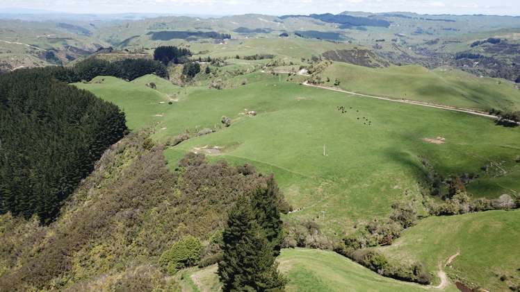 205 Kaweka Road Taihape and Surrounds_7