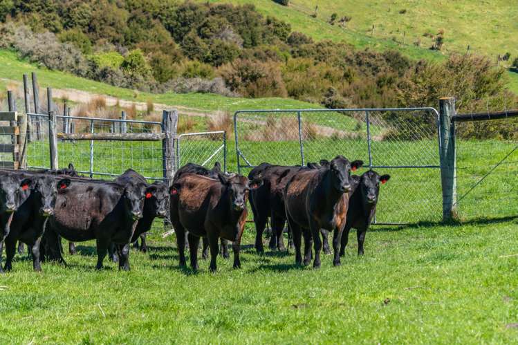 600 Hundalee Road Kaikoura_9