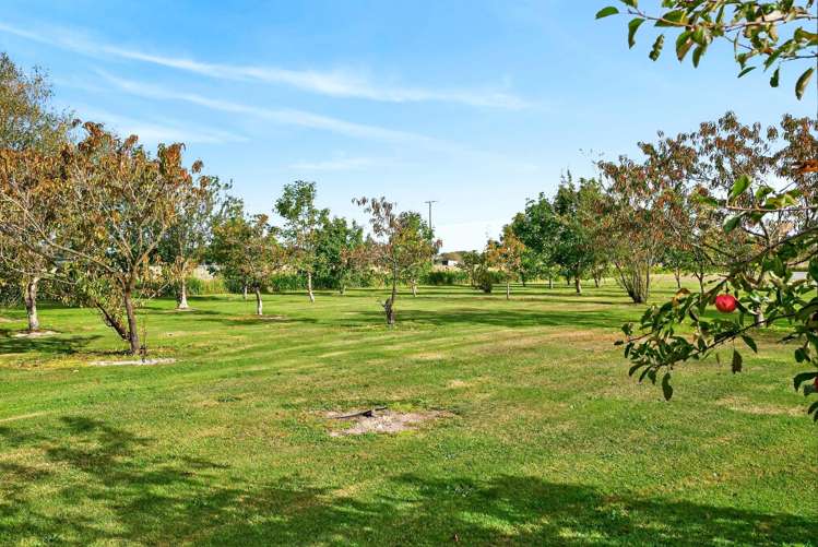 210 Wards Line, Morison Bush Greytown_41