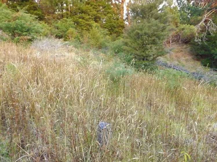 35 Punga Grove Avenue Riverside_6