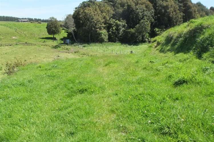 24 Ryland Park Levin_8