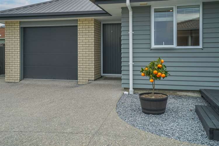 18a Maitland Avenue Stoke_12