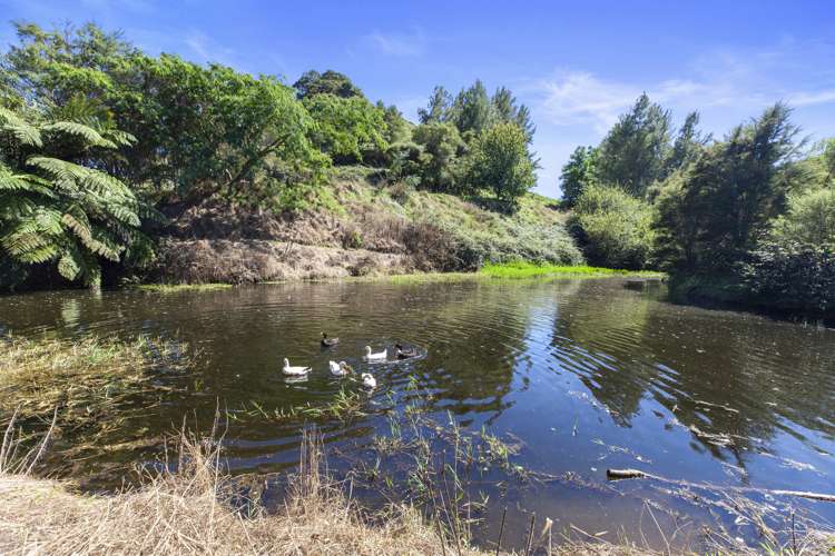 363 Roydon Downs Road Paengaroa_20