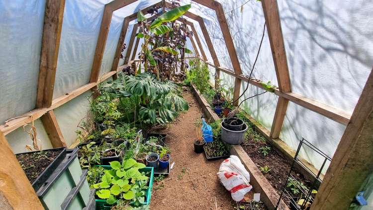 1D Dodson Road Takaka_21