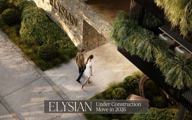 Ship spotting on the harbour