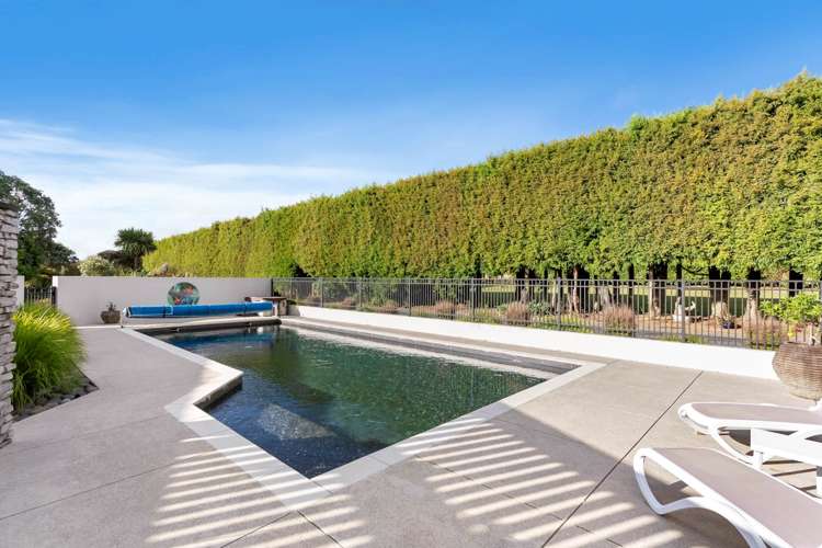 61 Puketutu Road Bombay_19