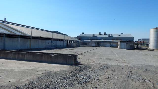 35 Enterprise Avenue Islington_3