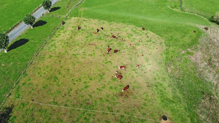 998 Limeworks Loop Road Te Pahu_36