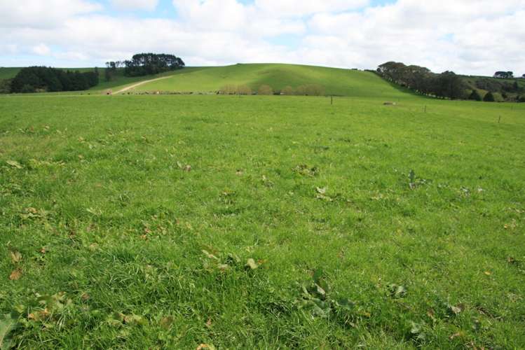 96 Lower Hunter Road Hawera_12