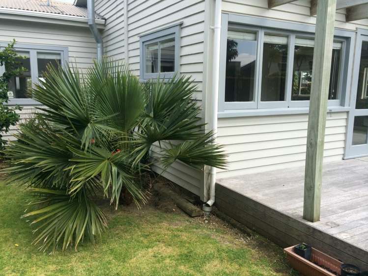 213b Oceanbeach Road Mount Maunganui_5