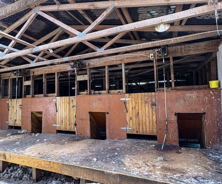 124 Niagara Waikawa Road Tokanui_6