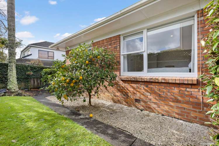 3/86 Tawa Road One Tree Hill_18
