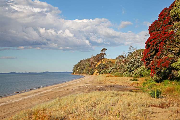 5b Gap Road Manukau Heads_9