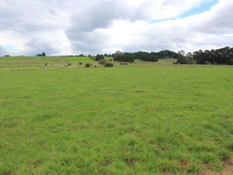 268 Ngamoko Road Norsewood_22