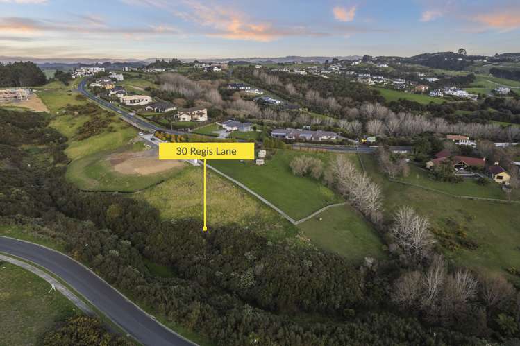 30 Regis Lane Flat Bush_6