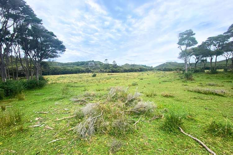 Lot 3/161 Wharariki Road Puponga_18