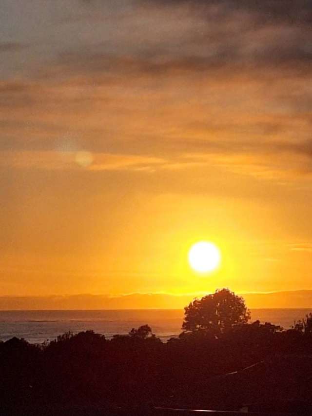 44 Hume Street Waitara_4