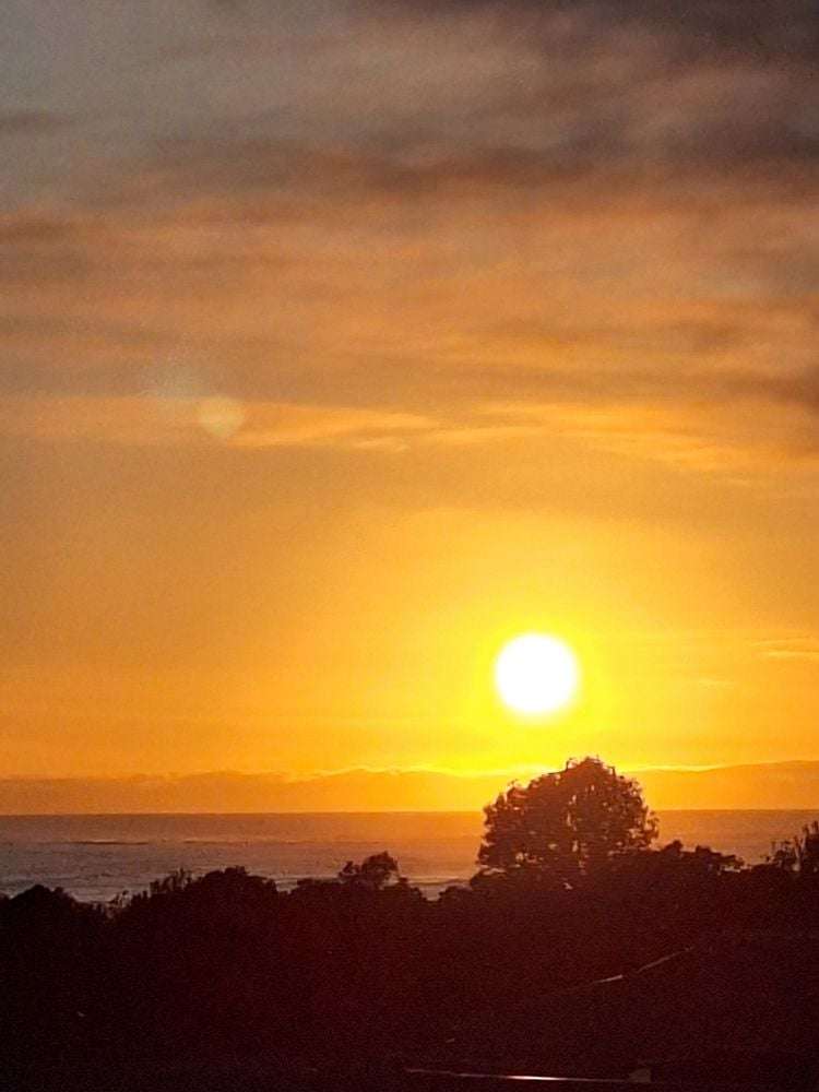 44 Hume Street Waitara_4