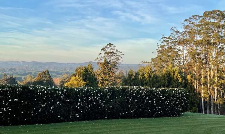 436 Kapiro Road Kerikeri_27