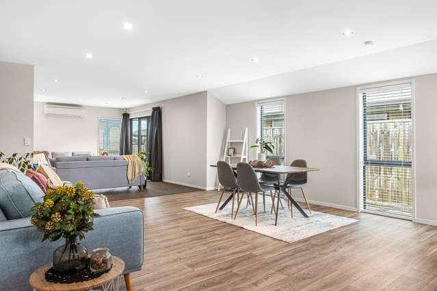 123 Infinity Drive Pegasus_3